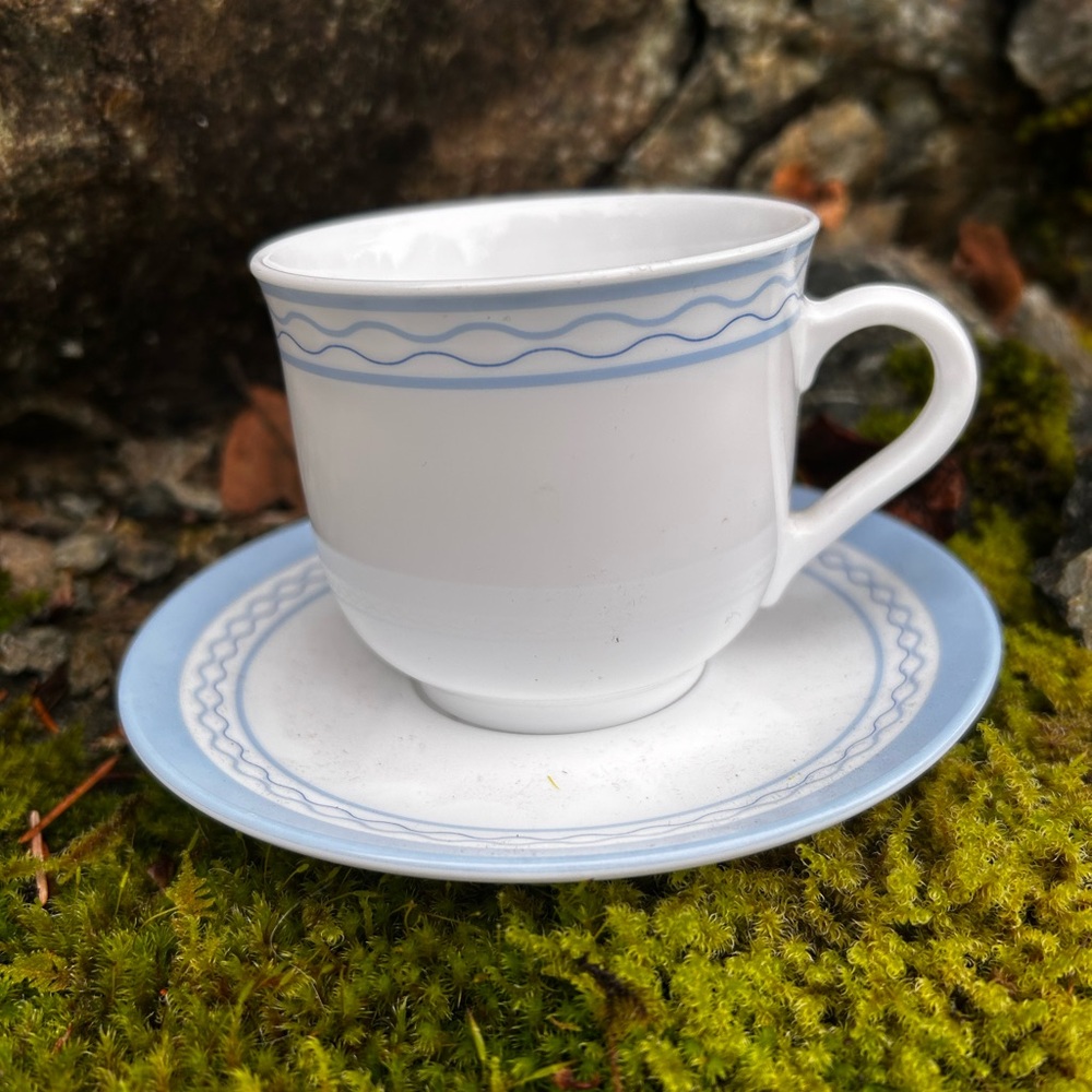 Martha Stewart Everyday Elegant White & Blue Teacup with Saucer. Set of 4. EUC